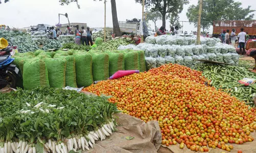 WPI inflation turns negative in June at (-) 0.13%