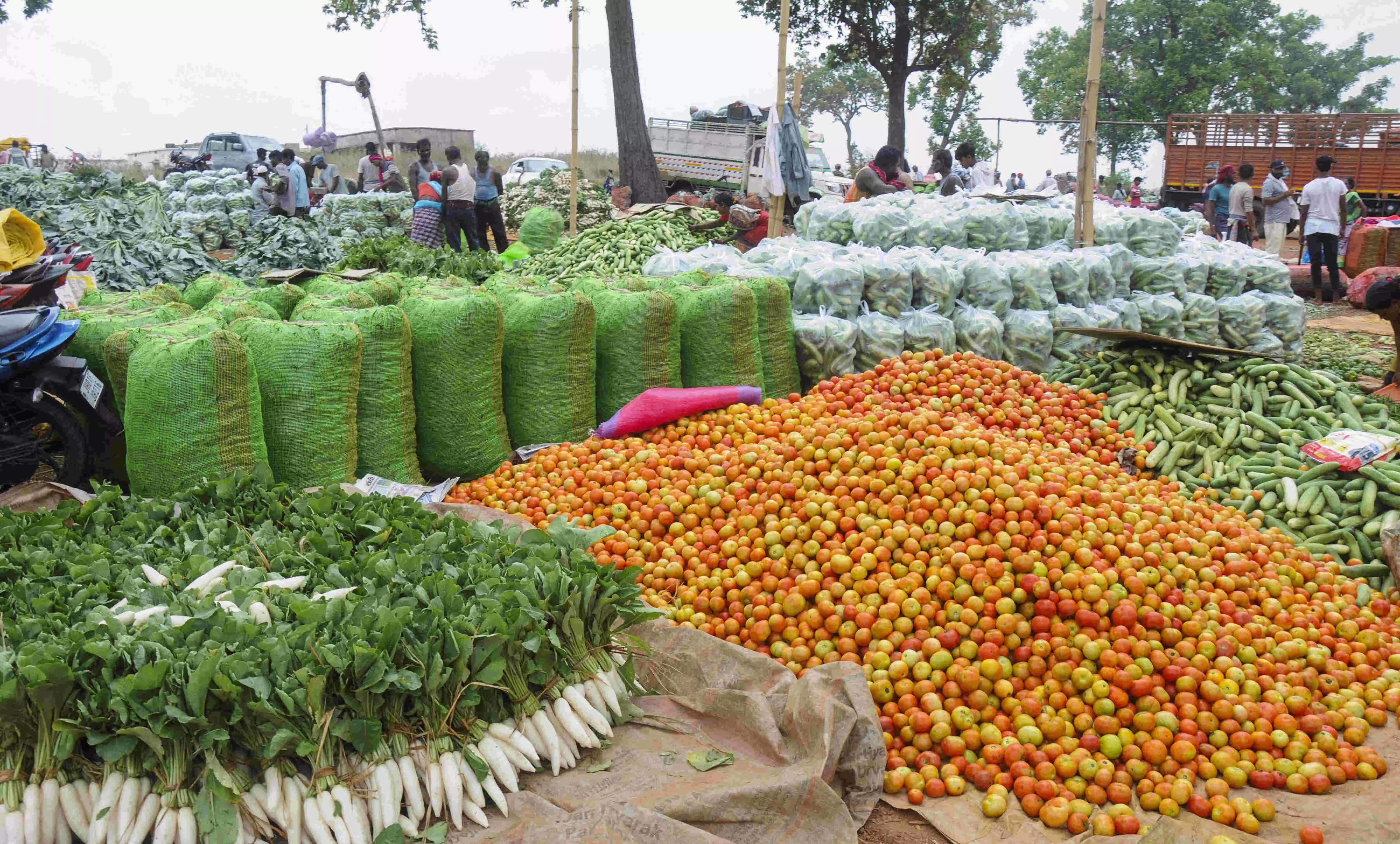 WPI inflation enters negative zone after 19 months, dips 0.13 pc in June WPI inflation enters negative zone after 19 months, dips 0.13 pc in June