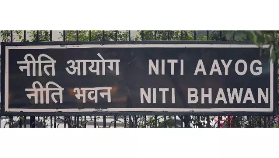India should pursue services-focused trade deal with US: NITI Aaayog India should pursue services-focused trade deal with US: NITI Aaayog