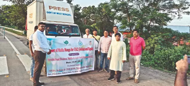 Malda’s Fazli mango soars to international markets Malda’s Fazli mango soars to international markets