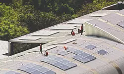 BSES crosses 10K rooftop solar connections, powers Capital with 220 MWp green energy