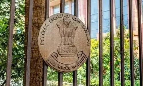 Just because MLC does not show injuries, minors statement on assault cant be discarded: Delhi HC
