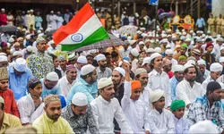 Roses Among Thorns Roses Among Thorns