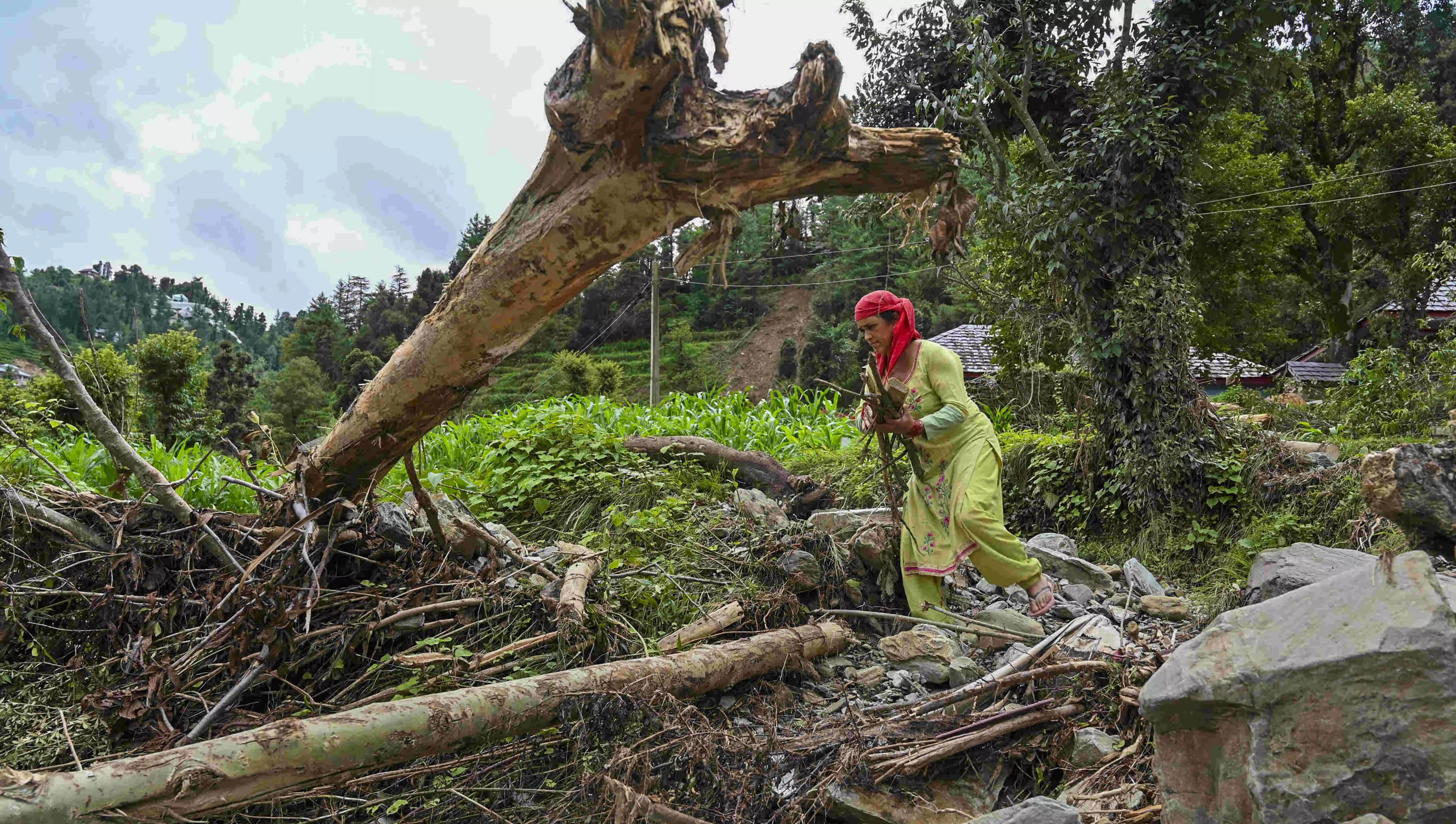 Rain havoc leaves 468 roads, 676 water schemes disrupted in Himachal; 1199 power transformers out, death toll at 125 Rain havoc leaves 468 roads, 676 water schemes disrupted in Himachal; 1199 power transformers out, death toll at 125