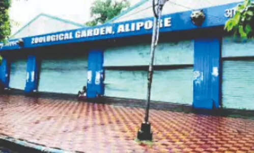 HC moved over ‘missing animals’ at Alipore Zoo over one fiscal