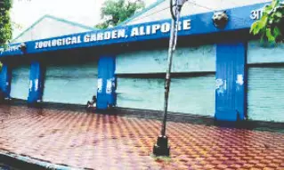 HC moved over ‘missing animals’ at Alipore Zoo over one fiscal HC moved over ‘missing animals’ at Alipore Zoo over one fiscal