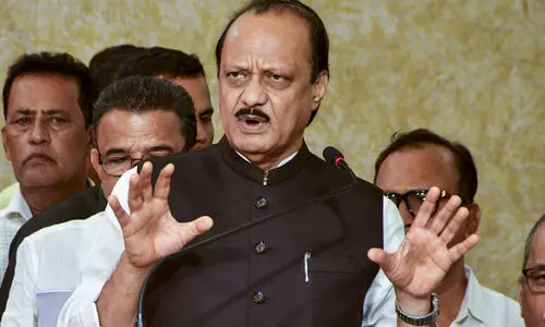 Call on action against minister Kokate after meeting him, consulting CM: Ajit Pawar