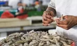 Indias seafood exports set to compete with Vietnam, Singapore after UK trade deal Indias seafood exports set to compete with Vietnam, Singapore after UK trade deal
