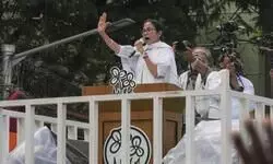 Bengal CM Mamata Banerjee demands end to linguistic terrorism citing New York-based NGO report