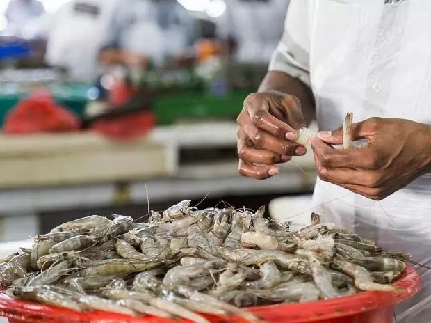 Indias seafood exports set to compete with Vietnam, Singapore after UK trade deal