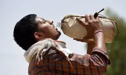 India recorded over 7,000 suspected heatstroke cases, 14 deaths in March-June period: RTI