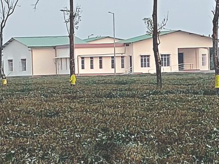 ‘Crèches in tea gardens under Centre unfit even for animals’