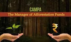 India planted 1.78 lakh ha under CAMPA in 2019-2023; gaps in fund use: Report