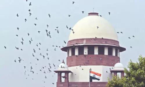 Girl, 6, dies of rabies in Capital;   SC takes suo motu cognizance