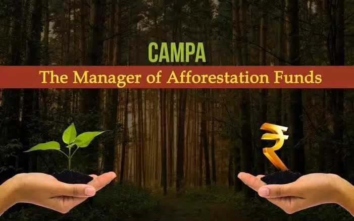 India planted 1.78 lakh ha under CAMPA in 2019-2023; gaps in fund use: Report India planted 1.78 lakh ha under CAMPA in 2019-2023; gaps in fund use: Report