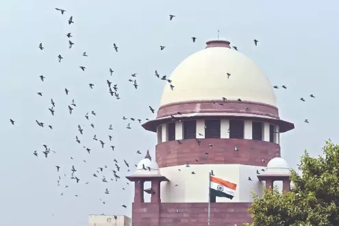 Girl, 6, dies of rabies in Capital; SC takes suo motu cognizance Girl, 6, dies of rabies in Capital; SC takes suo motu cognizance