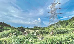 Power Grid Q1 PAT rises 7% YoY to Rs 3,653 crore