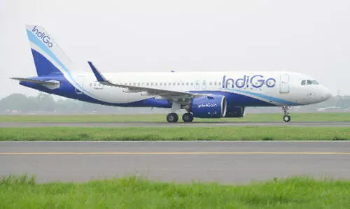 IndiGo Q1 profit skids 20 pc to Rs 2,176 cr; sees 12 pc passenger growth