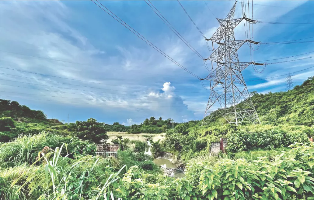 Power Grid Q1 PAT rises 7% YoY to Rs 3,653 crore Power Grid Q1 PAT rises 7% YoY to Rs 3,653 crore