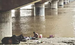 Yamuna ‘still polluted’ despite Rs 1,951-crore cleanup effort by govt