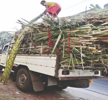 UP leads in sugar production despite drop   in output; slump in recovery sparks alarm