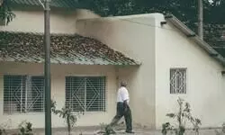 Bracing for Twilight Echoes Bracing for Twilight Echoes