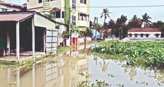 Flooding, erosion hit Sadarghat after Atreyee canal gates opened