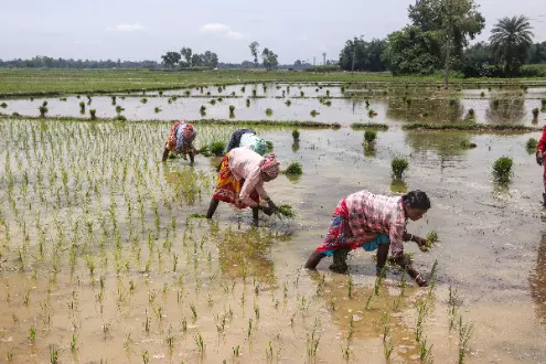 Over 20 lakh Assam farmers get Rs 422 cr under PM-KISAN