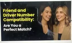 Finding & Building Friendship Compatibility with Numerology