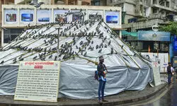 Protesters remove tarpaulin from kabutarkhana in Mumbai; minister condemns act