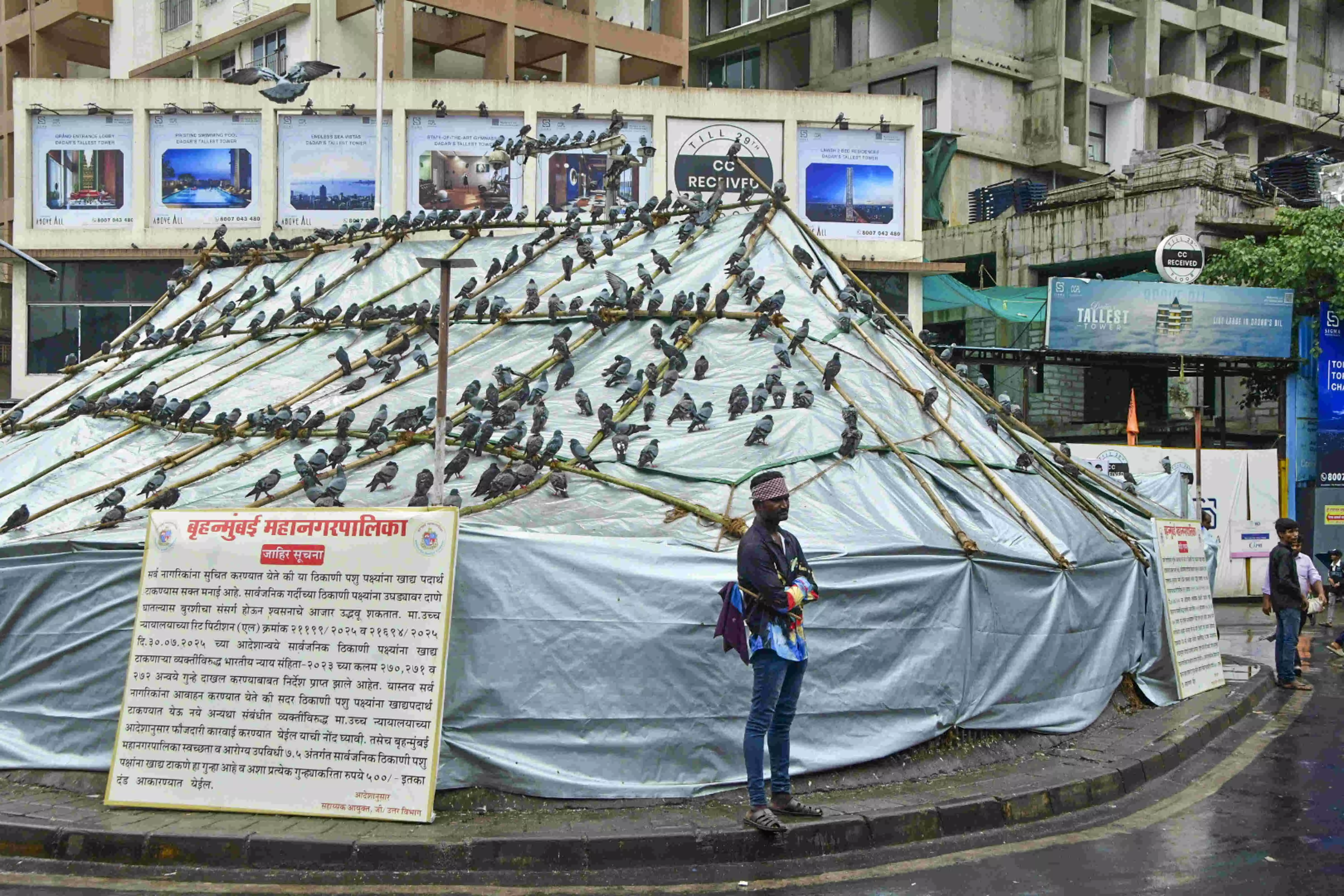 Protesters remove tarpaulin from kabutarkhana in Mumbai; minister condemns act Protesters remove tarpaulin from kabutarkhana in Mumbai; minister condemns act