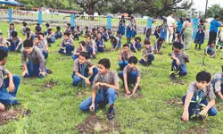 MP: One crore saplings targeted as state turns to greening under ‘Urban Forestry’ vertical MP: One crore saplings targeted as state turns to greening under ‘Urban Forestry’ vertical