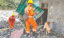 Army builds bridge over river to speed up evacuation, 650 rescued