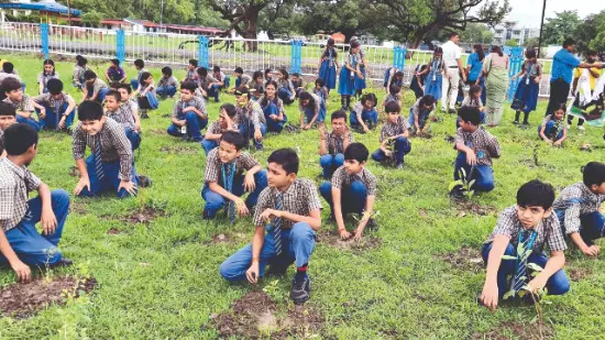 MP: One crore saplings targeted as state turns to greening under ‘Urban Forestry’ vertical MP: One crore saplings targeted as state turns to greening under ‘Urban Forestry’ vertical
