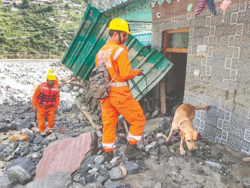 Army builds bridge over river to speed up evacuation, 650 rescued