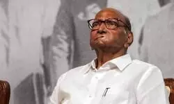 ECI should look into Rahul Gandhis vote theft presentation: Sharad Pawar