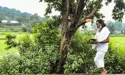 On World Tribal Day, Jkhand CM recalls father Shibu Sorens contributions to state