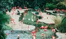 Zoos: Vaults & Velvet Chains Zoos: Vaults & Velvet Chains