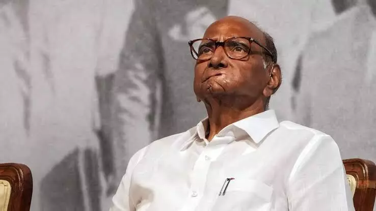ECI should look into Rahul Gandhis vote theft presentation: Sharad Pawar