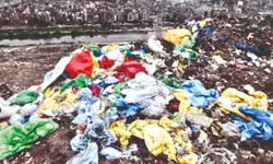 Parl panel flags lagging plastic waste units, seeks urgent waste survey