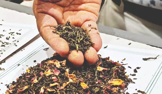Liquid gold in a cup: Rs 1L a   kilo tea unveiled in Alipurduar