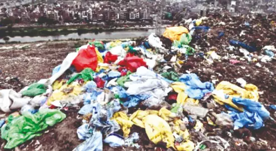 Parl panel flags lagging plastic waste units, seeks urgent waste survey Parl panel flags lagging plastic waste units, seeks urgent waste survey