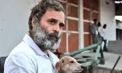 These voiceless souls are not ‘problems’ to be erased: Rahul Gandhi criticises SC ruling on stray dogs