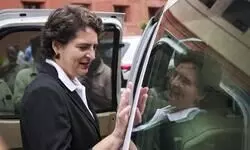 Dogs are most beautiful, gentle creatures, do not deserve cruelty: Priyanka on SC directive