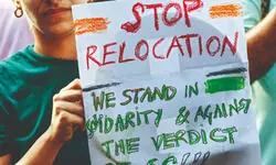 Eight weeks, ten lakh dogs, and almost no shelters: Reality bites Eight weeks, ten lakh dogs, and almost no shelters: Reality bites