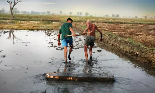 Fewer Farms, Older Hands
