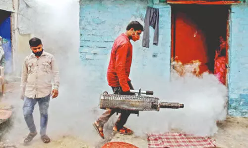 ‘Remain vigilant’: KMC launches intensive anti-dengue drive in city