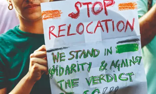 Supreme Court’s order on stray dogs ignites a wave of emotional reactions