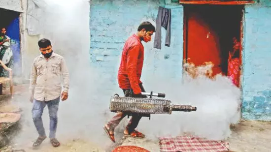 ‘Remain vigilant’: KMC launches intensive anti-dengue drive in city