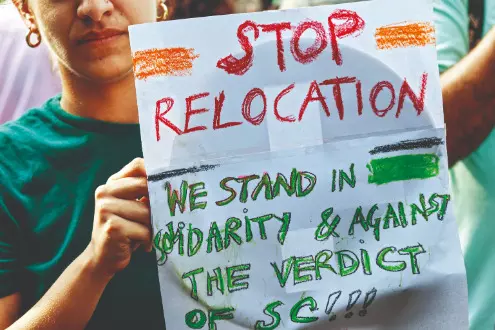 Supreme Court’s order on stray dogs ignites a wave of emotional reactions